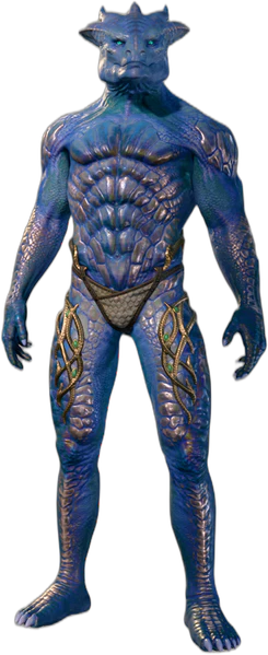 Bronze Underwear Dragonborn Front