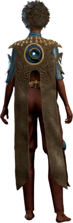 Vest of Soul Rejuvenation Human Back