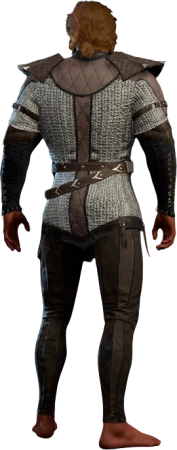 Slippery Chain Shirt High Elf Back