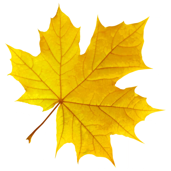 File:Sticker Env Leaf 1.webp