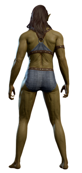 File:Underwear Half-Orc 4.png