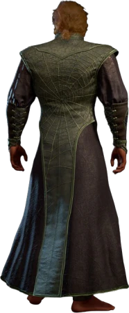 Poisoner's Robe Half-Elf Back