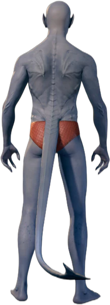 Underwear Tiefling Back