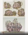Thumbnail for version as of 08:40, 11 November 2024