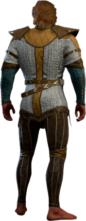 Chain Shirt +1 High Elf Back