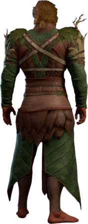 Druidic Leather Armour Half-Elf Back