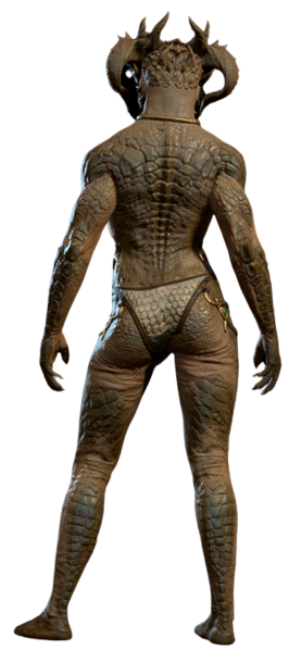 File:Underwear Dragonborn 4.png