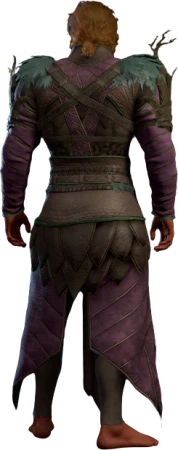 Armour of the Sporekeeper High Elf Back