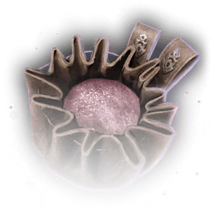 Ashes of Imp Patagium image