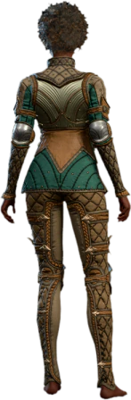 Ironwood Breastplate Human Back