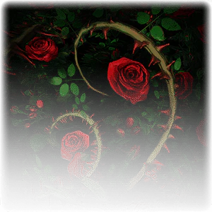 Plant Growth (surface) image