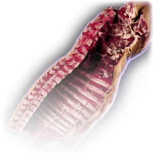 Chopped-Up Pig image