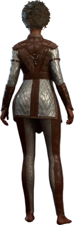 Scale Mail Flaming Fist Human Back