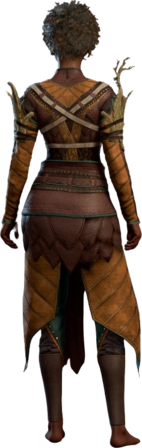 Druid Leather Armour Orange Human Back