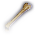 Thumbnail for version as of 09:53, 1 January 2024