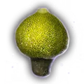 Thumbnail for version as of 10:52, 31 March 2024