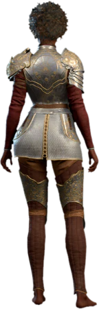 Armour of Agility Human Back