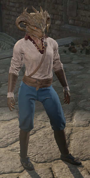 Femme Dragonborn appearance