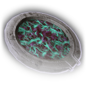 Vitriol of Putrefied Tumour image