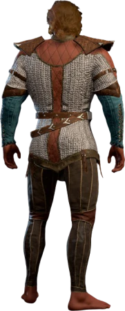 Robust Chain Shirt High Elf Back