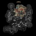 Thumbnail for version as of 21:44, 14 August 2023