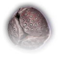Thumbnail for version as of 11:08, 18 February 2023
