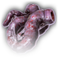 Thumbnail for version as of 14:42, 31 August 2023