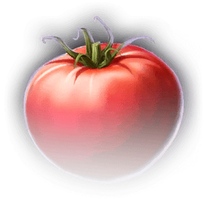 Tomato image