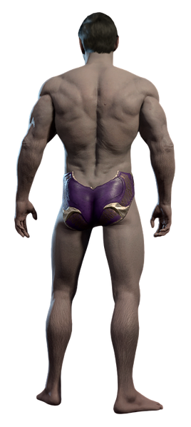 File:Shadowheart Underwear Male Back.png