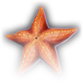 Thumbnail for version as of 10:21, 10 September 2023