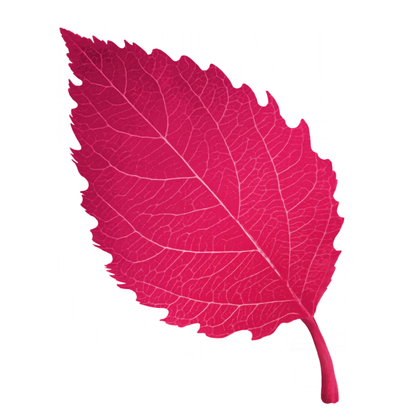 File:Sticker Env Leaf 4.webp