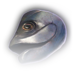 Fish Head image