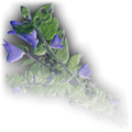 Thumbnail for version as of 01:02, 16 July 2023