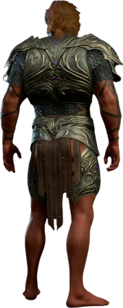 Psionic Ward Armour High Elf Back