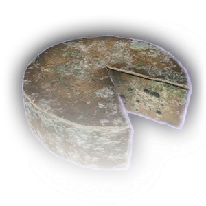 Rotten Waterdhavian Cheese Wheel image