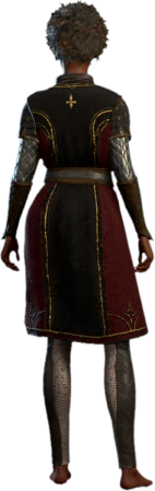 Scale Mail of Vengeance Human Back