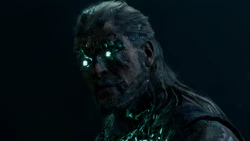 Seek Protection from the Shadow Curse