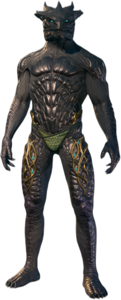 Underwear Dragonborn Front