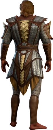 Scale Mail +2 High Elf Back