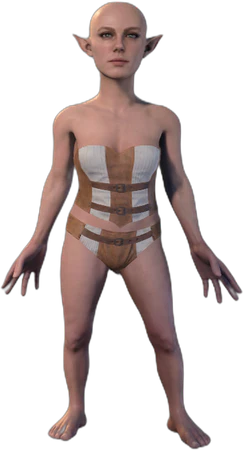 Underwear Gnome Front