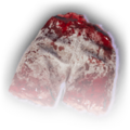 Thumbnail for version as of 10:08, 27 December 2023