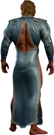 Wavemother's Robe Half-Elf Back
