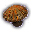 Thumbnail for version as of 09:39, 26 September 2026