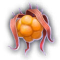 Thumbnail for version as of 18:12, 24 October 2023