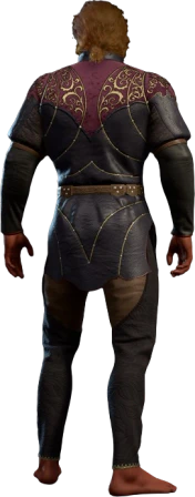 Padded Armour Astarion Half-Elf Back