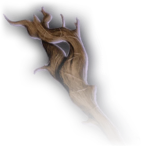 Gnarled Tree Branch image