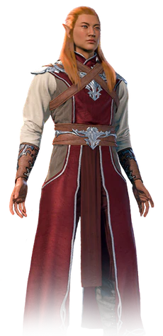 Sorcerer's default armour