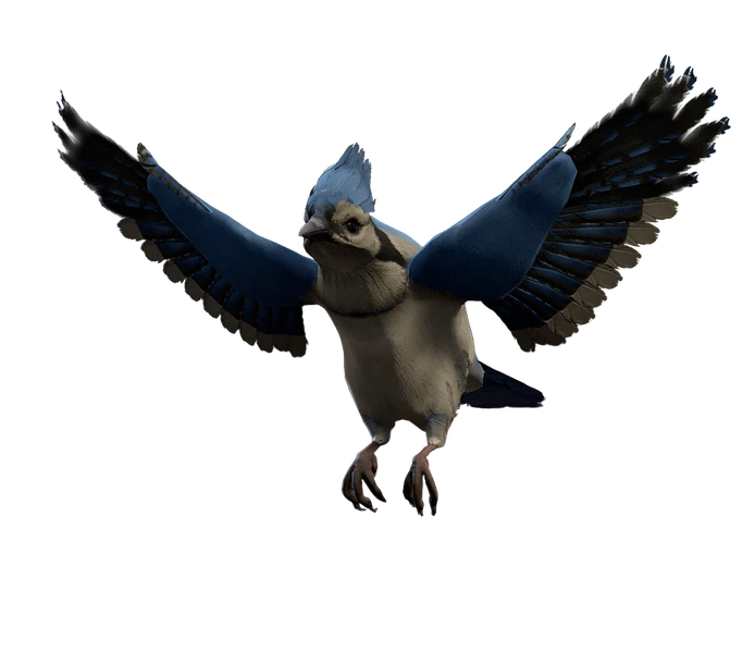 File:Blue Jay Model.png