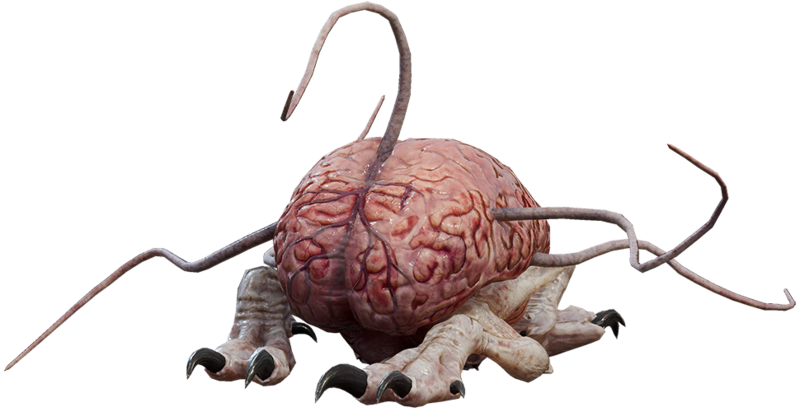 File:Intellect Devourer Model.png