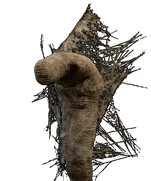 File:Spider Silk Cocoon 3.png